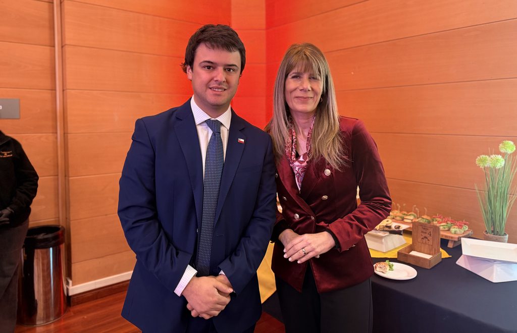 DIPUTADO CRETTON URGE POR REFORMA AL SISTEMA ELÉCTRICO TRAS…