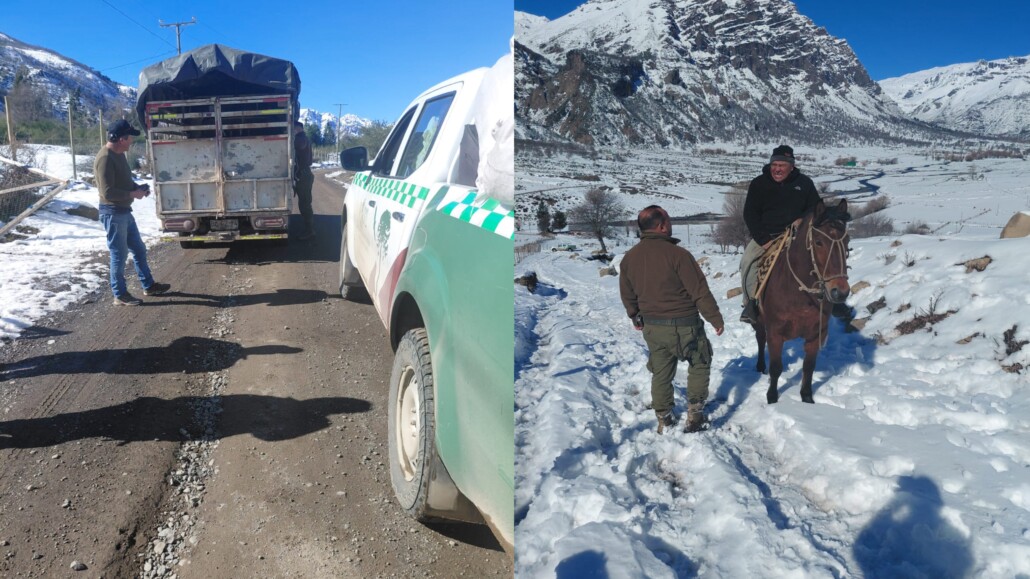 Carabineros refuerza prevención contra el abigeato ante las Fiestas Patrias en comunidades de Alto Biobío