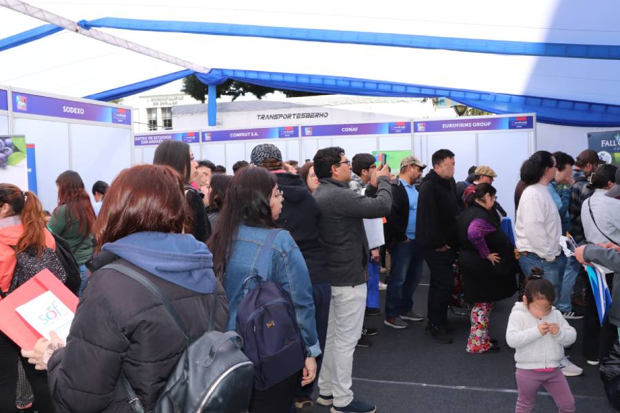 Feria Laboral en Coihueco ofrecerá vacantes en agroindustria…