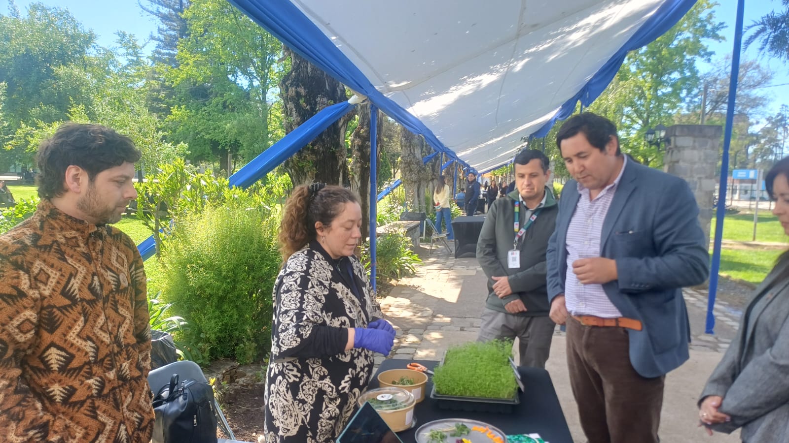 En la UCM impulsan la producción de antioxidantes naturales a partir…