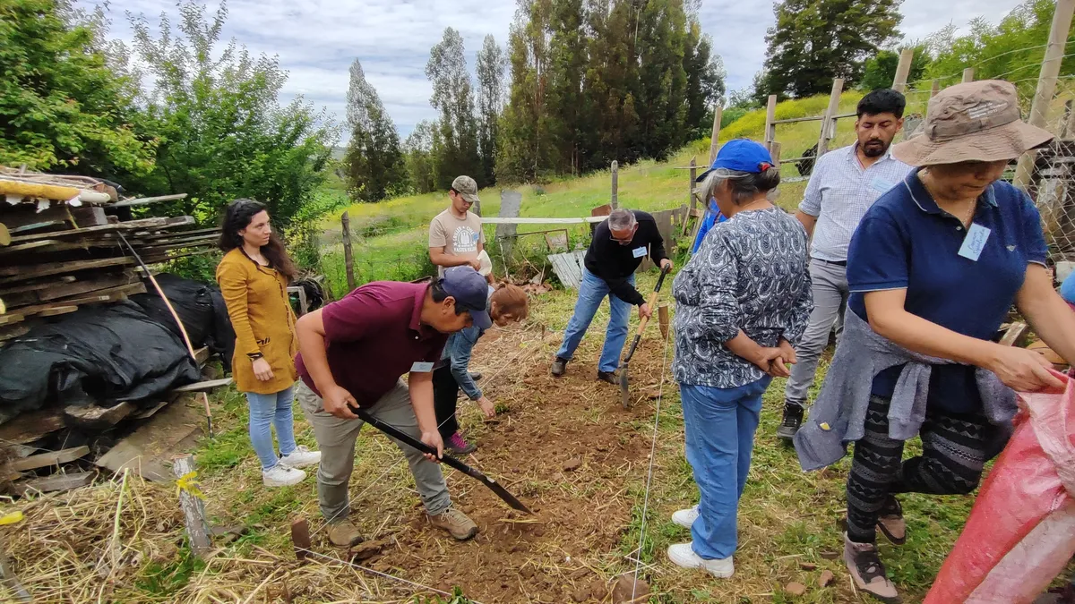 Concepción recibirá el 4° Encuentro Interregional dedicado a la…