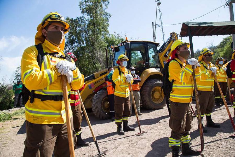 Ofrecen 50 vacantes para brigadistas forestales en Yungay y Nueva Aldea