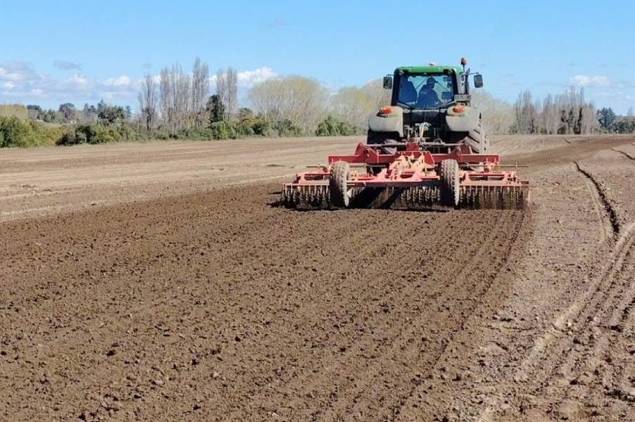 Beneo anuncia bono extraordinario a agricultores tras intensas lluvias