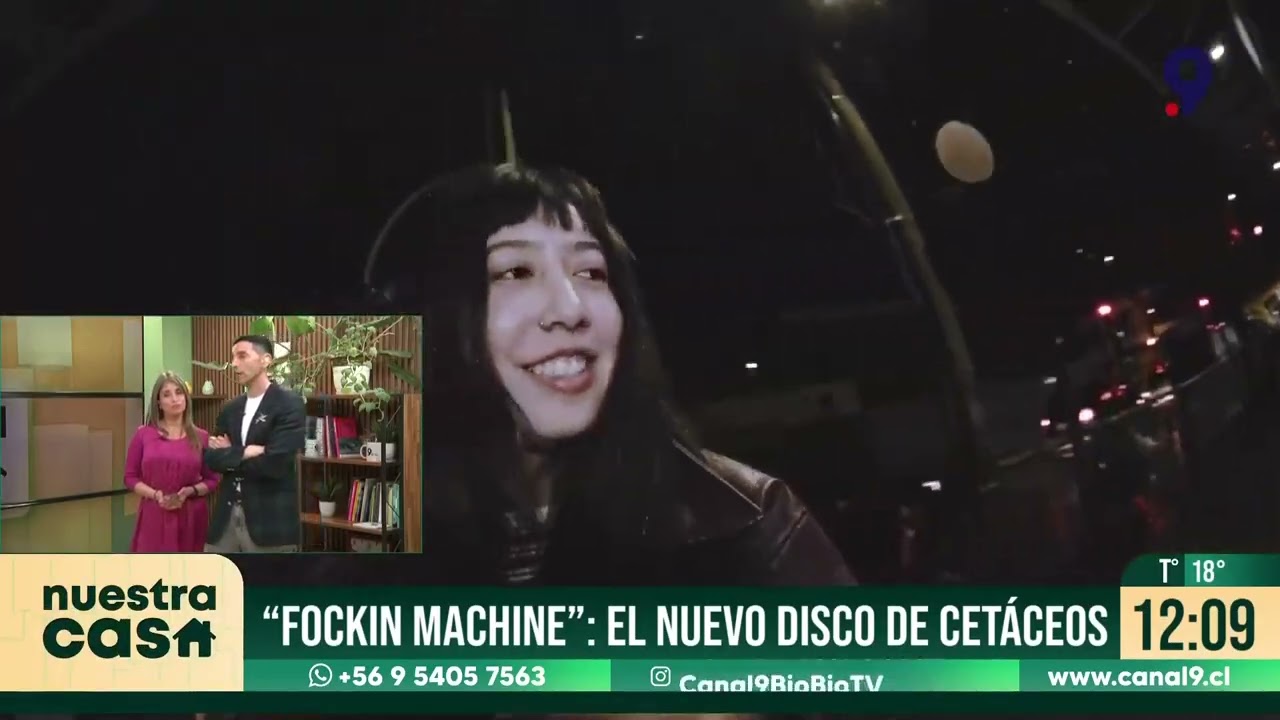 ¡Orgullo penquista! cetáceos lleva el rock de concepción a…