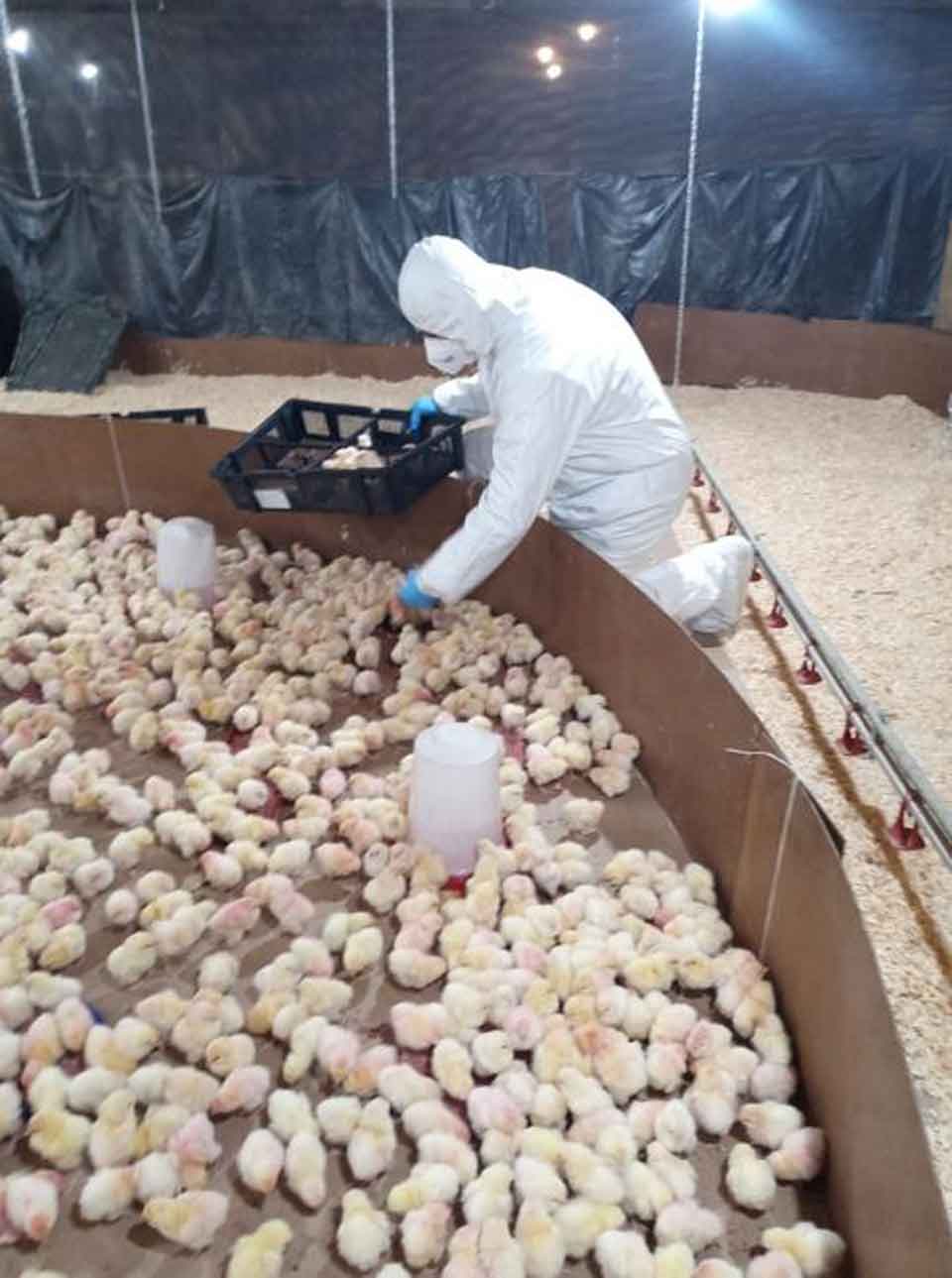 La silenciosa «alergia» de la tierra