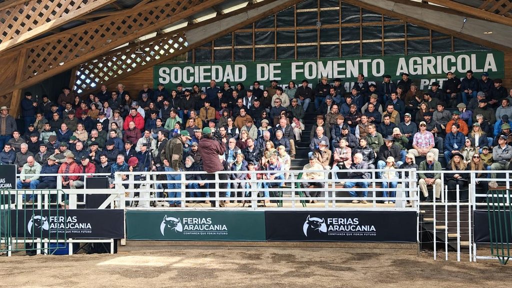 LA PRIMERA EXPO NACIONAL ANGUS MARCA UN HITO PARA LA GANADERÍA…