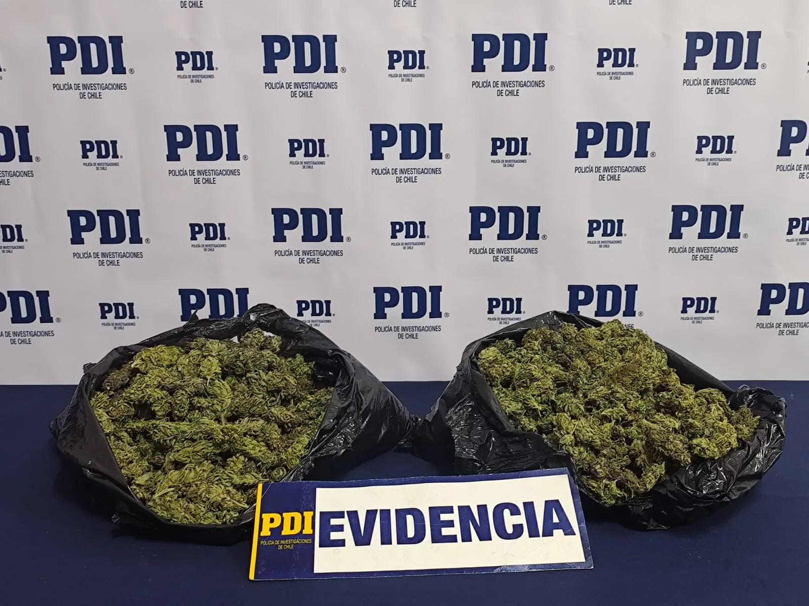 PDI incauta más de un kilo de cannabis en Traiguén