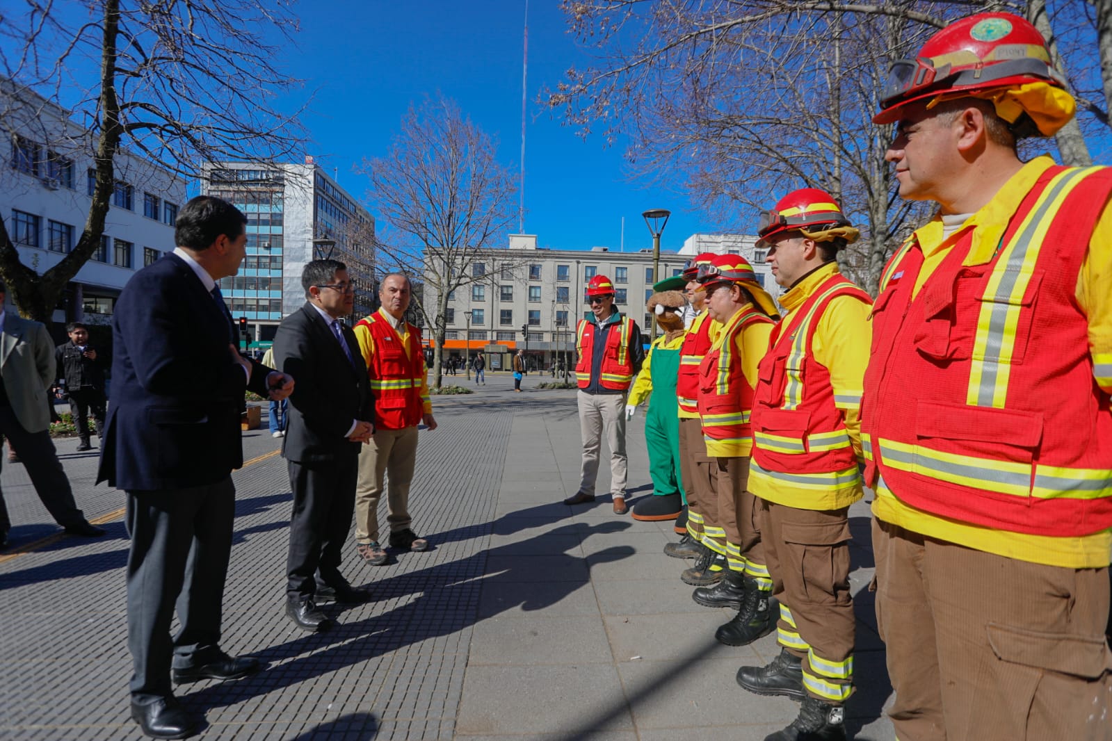 CONAF Biobío abre postulaciones de brigadistas forestales para la…