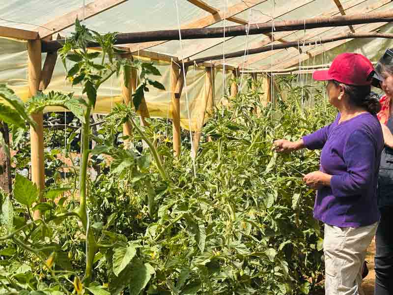 La otra economía del campo: el trabajo de las mujeres rurales que no…