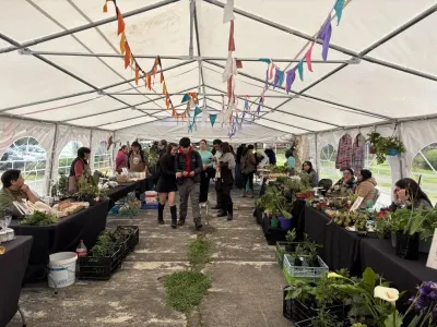 Exitosa Feria Mercado Rural llegó por vez primera a Pucón para quedarse
