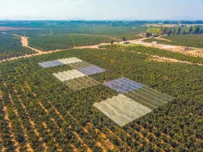 Fruticultura protegida: nuevas publicaciones entregan herramientas…