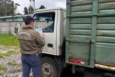 Carabineros suma 20 detenidos por el delito de abigeato este año en…